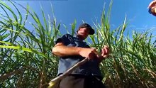 Farmer Wants a Wife Australia _ Season 4 Episode 4