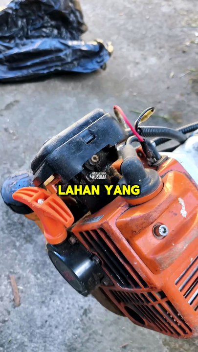 Mesin Potong Rumput Stihl FS-3001...  Jasa Potong Rumput Wilayah Denpasar Bali Chat WA 62857-3741-7742  #MesinPotongRumput #StihlFs3001 #StihlIndonesia #MesinBabatRumput #PotongRumput