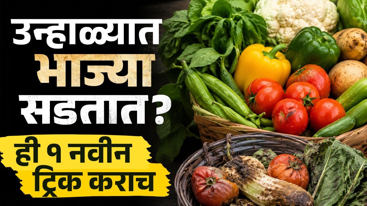 उन्हाळ्यात भाज्या सडतात? 😰 ही १ नवीन ट्रिक कराच! | How To Keep Vegetables Fresh In Summer