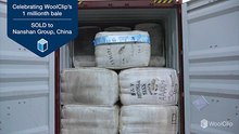 Woolclip celebrates selling its one millionth bale