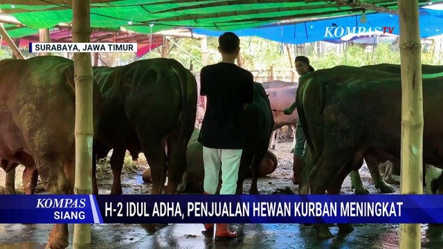 2 Hari Jelang Idul Adha, Pedagang Hewan Kurban Mulai Dibanjiri Pembeli | KOMPAS SIANG