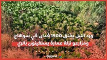 ورد النيل يخنق 1500 فدان في سوهاج.. ومزارعو نزلة عمارة يستغيثون بالري