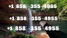 【Coinbase®】 Customer Support®️ Number By TOLL  FREE, Chat And Email A Step COmpLetE Guide+1 {858}↝355↝4955 (3)