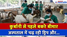 Bakrid Qurbani : बकरीद से पहले अस्पताल पहुंच गए बकरे, ड्रिप लगाकर हो रहा इलाज