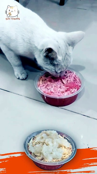 Billi Treats Testimonials | Cat Jelly Food Review