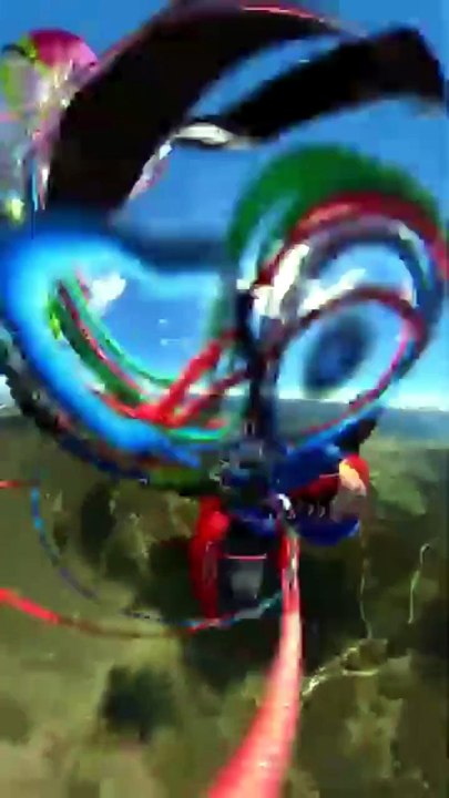 Mid-Air Collision Between Paraglider and Cessna 172 Near Zell am See, Austria