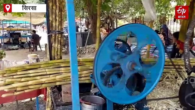 हरियाणा में गर्मी ने तोड़े रिकॉर्ड, सिरसा में 46 डिग्री तापमान, कई जिलों में सीवियर हीटवेव अलर्ट