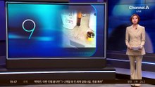 “컵라면은 수유실서”…中 관광객들 ‘눈살’