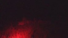 Lion battle in Madikwe