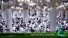 Almajd 04- 20260524