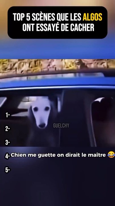 Top 5 Scène que les Algos ont essayé de Cacher Part 18