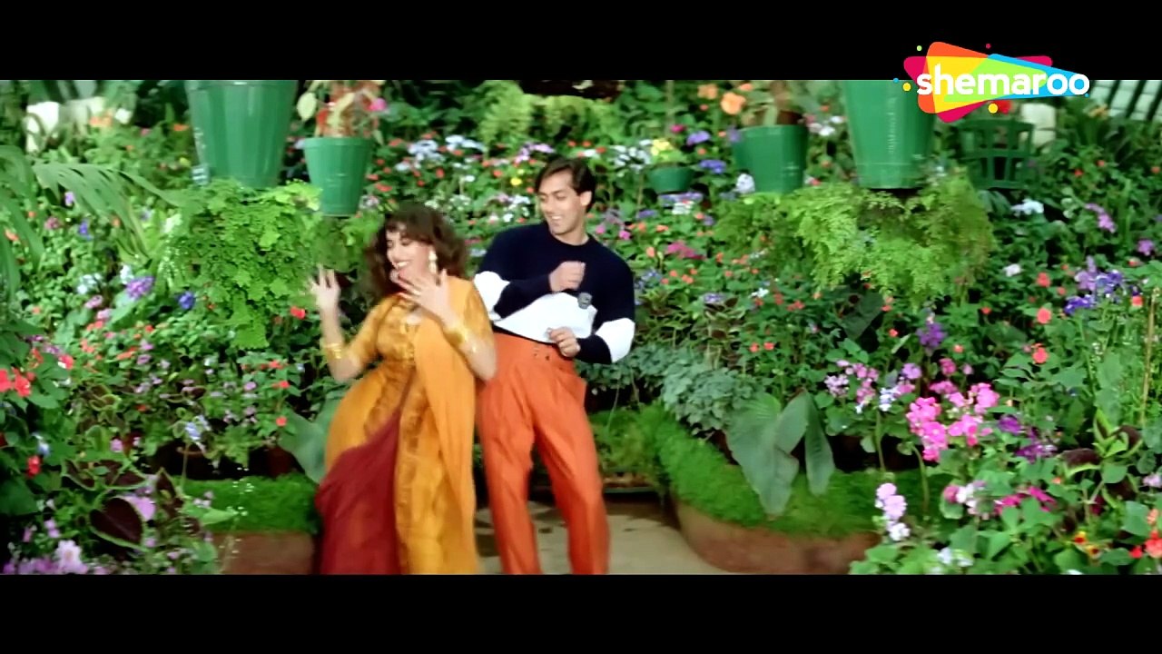 Dil Tera Aashiq _ Dil Tera Aashiq (1993) _ Salman Khan _ Madhuri Dixit _Kumar Sanu _Alka Yagnik
