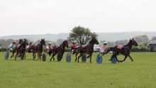 Gallery: Wales & Border Harness Racing at Synod Inn