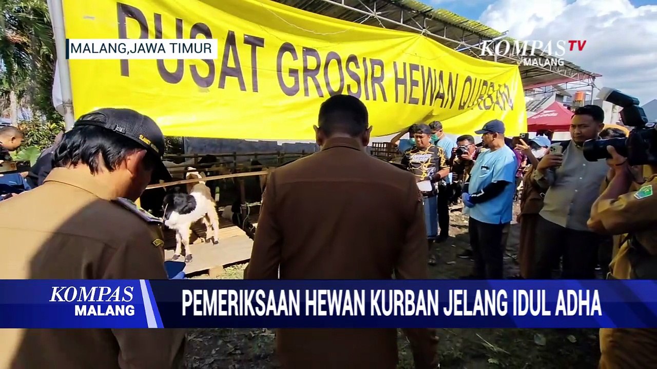 Mendekati Hari Raya Idul Adha Hewan Kurban di Lapak Pedagang Diperiksa