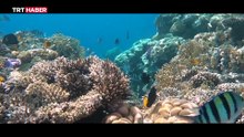 Göcek koyları ‘DERİA’ ile korunacak