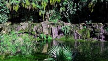 Jardin de Printemps au Soleil Musique Acoustique et Ruisseau Paisible