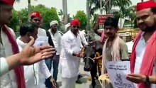 गाय को राष्ट्र माता घोषित करने के लिए निकले सपा नेता को सींग से धकेलती हुई भागने लगी गाय