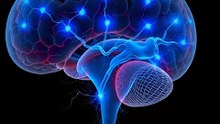 Hair Brushing Rewires Your Brain Chemistry