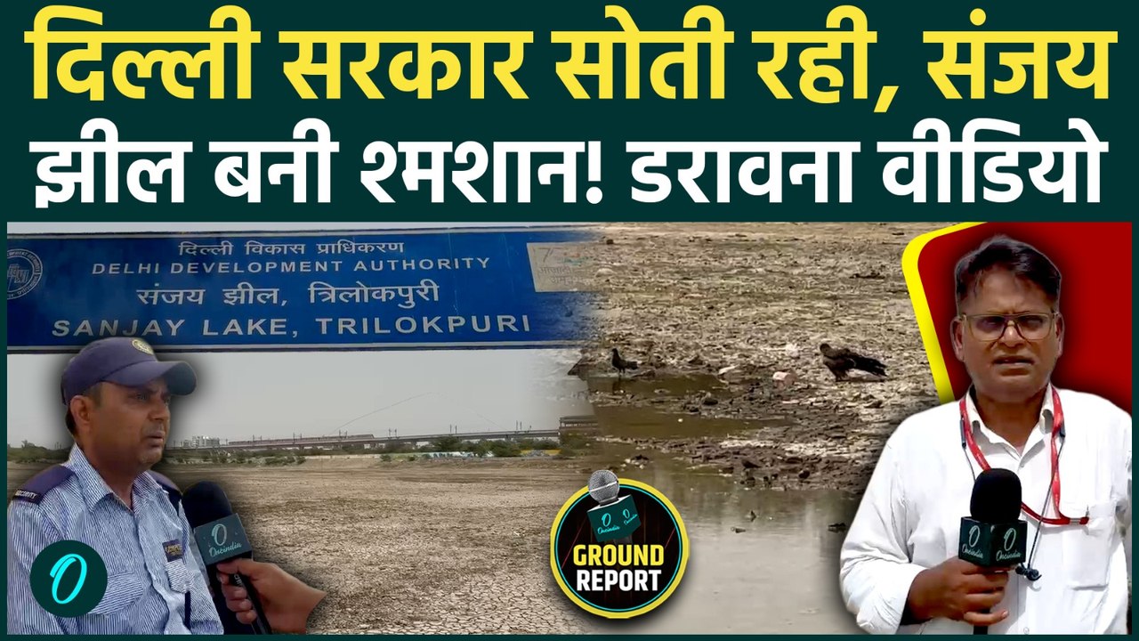 Delhi Sanjay Lake Dried: क्यों सूखी दिल्ली की ऐ...