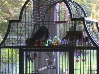 ça va barder.....attention hein