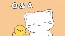 Answering Your Questions | Q&A