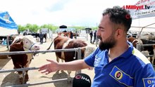 Kırşehir'de 830 kiloluk dev ineğin satış fiyatı dudak uçuklattı! "Galeriye gitsek araba alırız"
