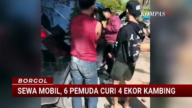 Polisi Ringkus 6 Pencuri Kambing di Buton Tengah saat Hendak Kabur | BORGOL