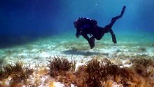 La Maddalena, i sub vanno a caccia di rifiuti ma trovano due spolette della seconda guerra mondiale