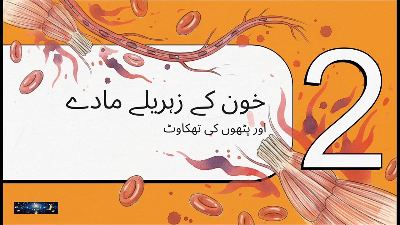 May 26, 2026 Flush Blood Toxins & Build Muscle Power Like Iron Instantly ☄️ Hammad hanif #health