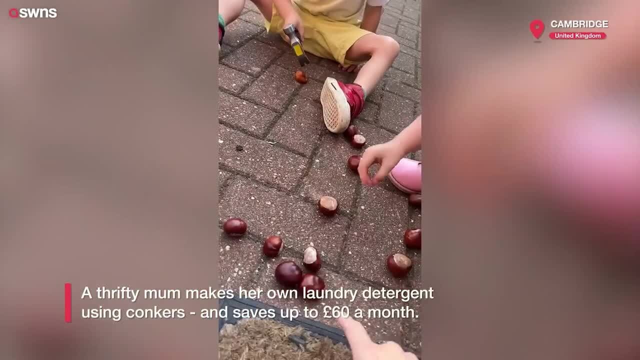 DIY laundry detergent from conkers saves up to £60 a month