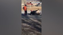 Hilarious Driving Fails