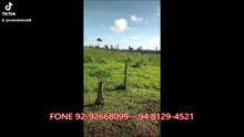 FAZENDA COM 40 ALQUEIRÃO A VENDA CMC