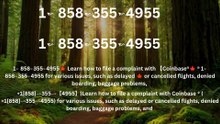 【Full】℠ [*Lis%t] of Coinbase% Toll Free nUmbers in the USA: The