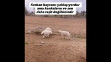 Kurban Bayramı
