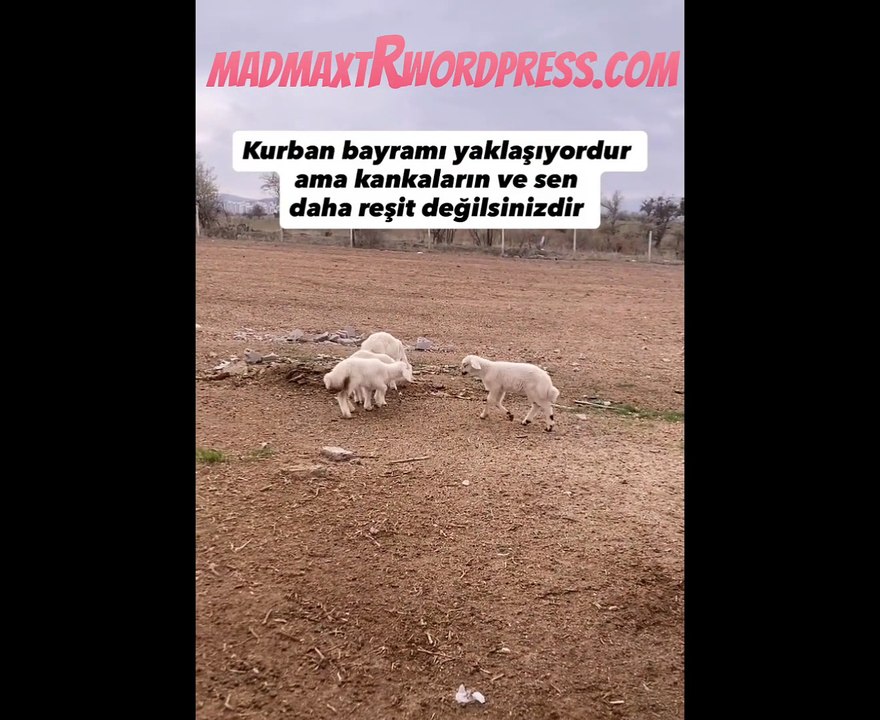 Kurban Bayramı