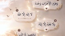 🤲🤍