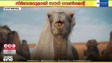 പെരുന്നാൾ നാളുകളിൽ ബലിമാംസം കഴിക്കുന്നതിൽ മിതത്വം വേണം; നിർദ്ദേശവുമായി സൗദി അതോറിറ്റി