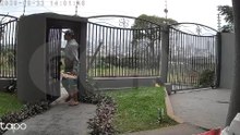 Câmera flagra homem que invadiu casa e furtou pistola, munições e joias; ajude a denunciar
