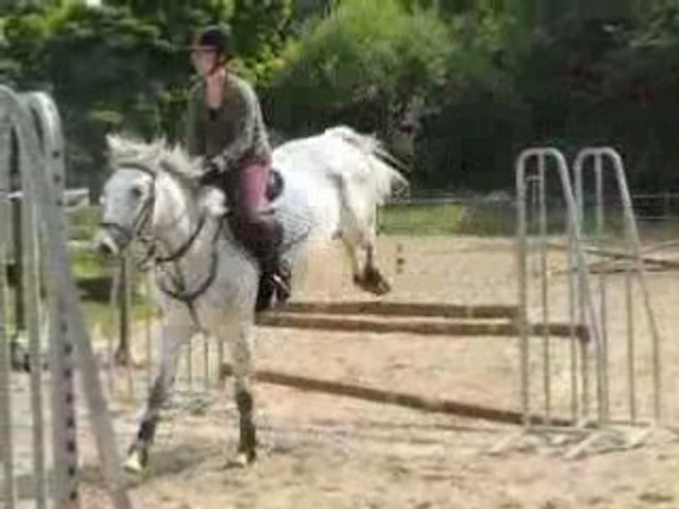 Cours de cso - 14 juin 2008 - Oxer deuxième!