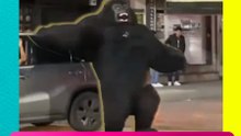 ¡México mágico! 'King Kong' se pasea por las calles de México