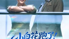 小白花跑了，我超慌 | 完整劇集 | Short Drama 繁體中文