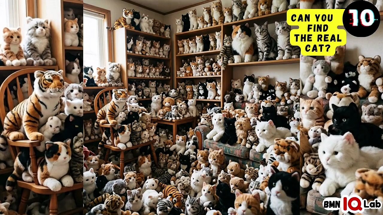 #YourEyesVsTheCats 👀⚔️🐈‍⬛ Can You Find The Real Cat? (Part 1) 😼