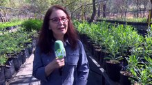 Cronica del Dia I Bosque El Centinela: puente de biodiversidad