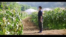 Un Amor Que No Se Agota 4 Español Latino