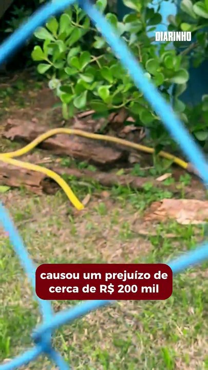 Furto de fios estraga vacinas em Balneário Camboriú