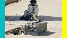 Indignación por mono amarrado en Sinaloa; Profepa interviene