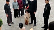 Melody of Fate, Family Reunited - Chinese Drama - English Sub