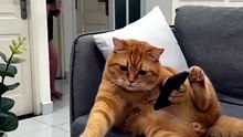 People Can’t Stop Watching This Viral Clip 👀