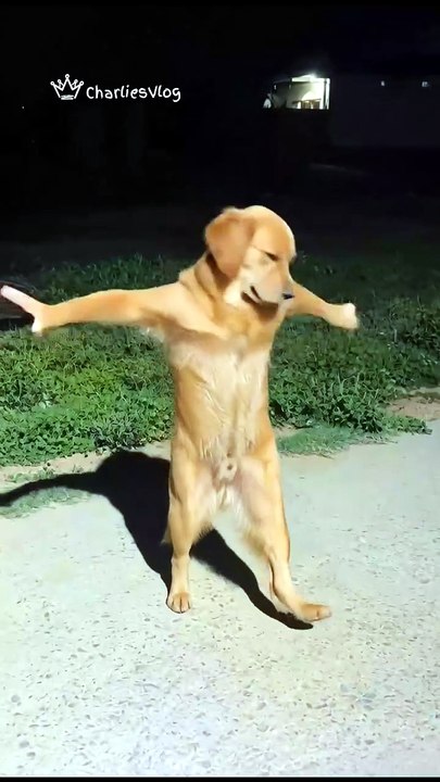 “Which part of this video made you laugh the most? 😆 Comment below!”