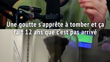 L’expérience interminable de la goutte de poix !